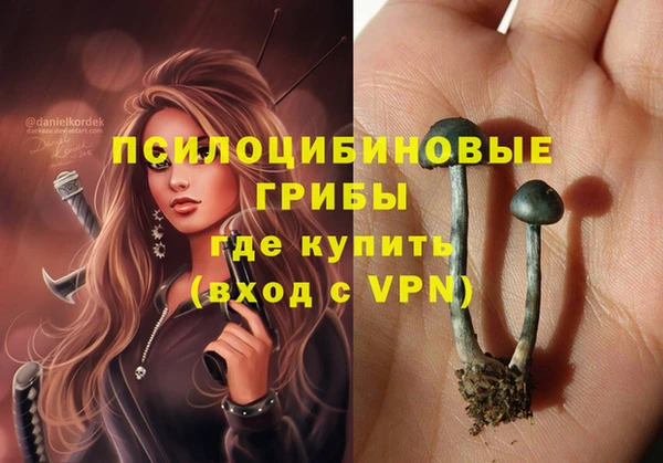 ECSTASY Алексеевка