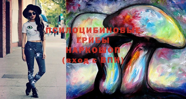ECSTASY Алексеевка